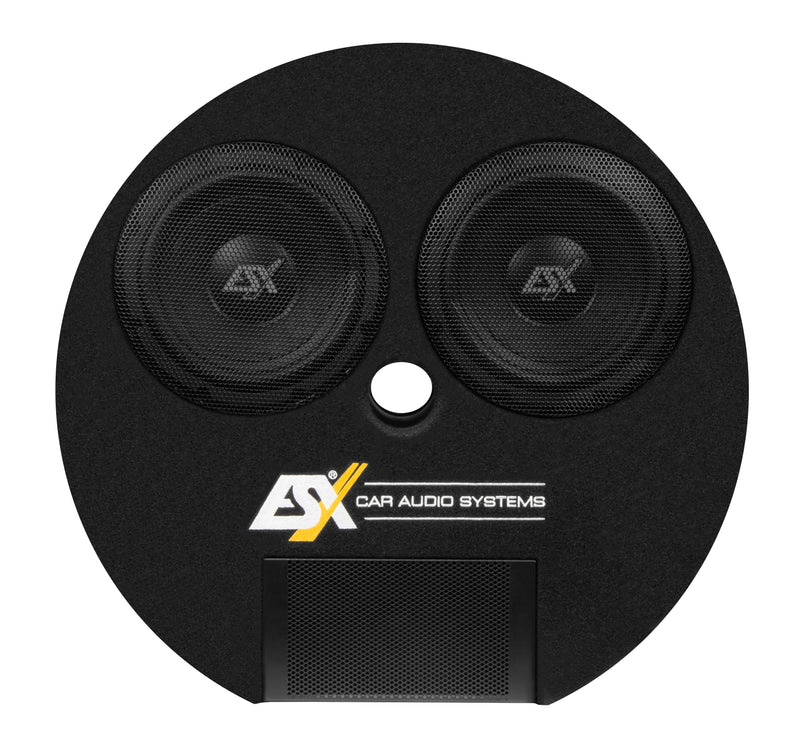 ESX DBX800Q  - Dual 8" Spare Wheel Subwoofer Enclosure