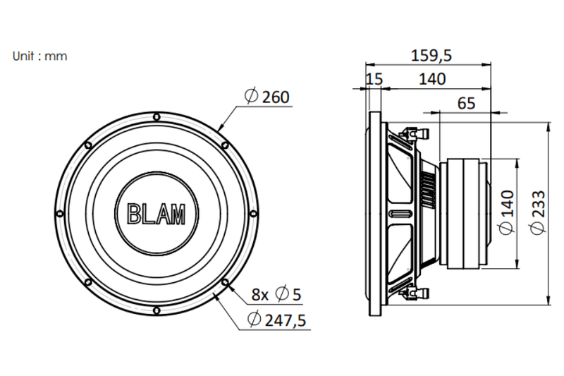 BLAM LIVE LSP25 - 10" Subwoofer