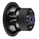 BASSFACE IndyEVO10/2 - 10" Subwoofer For Sealed Or Ported Enclosures