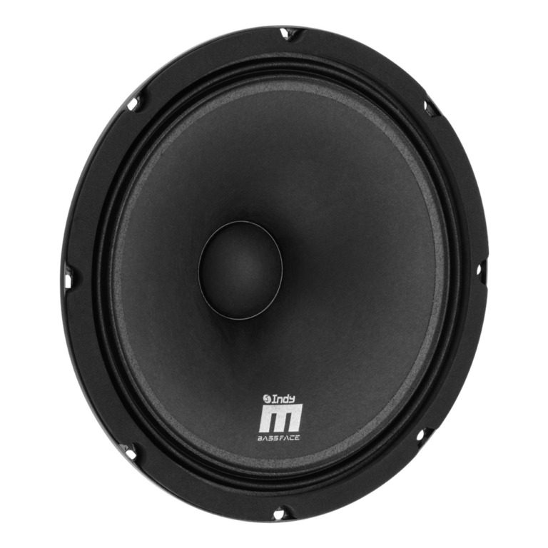 BASSFACE IndyM10/4 - 10" SPL Wide Range Driver